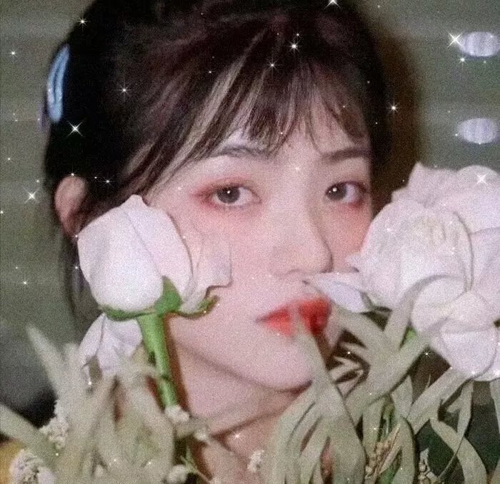 午夜先生小心怪物